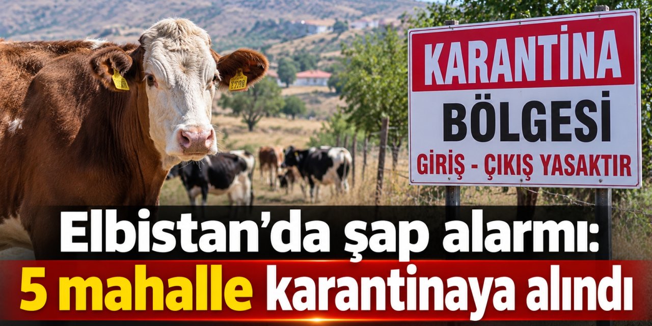 Elbistan’da şap hastalığı nedeniyle 5 mahalle karantinaya alındı