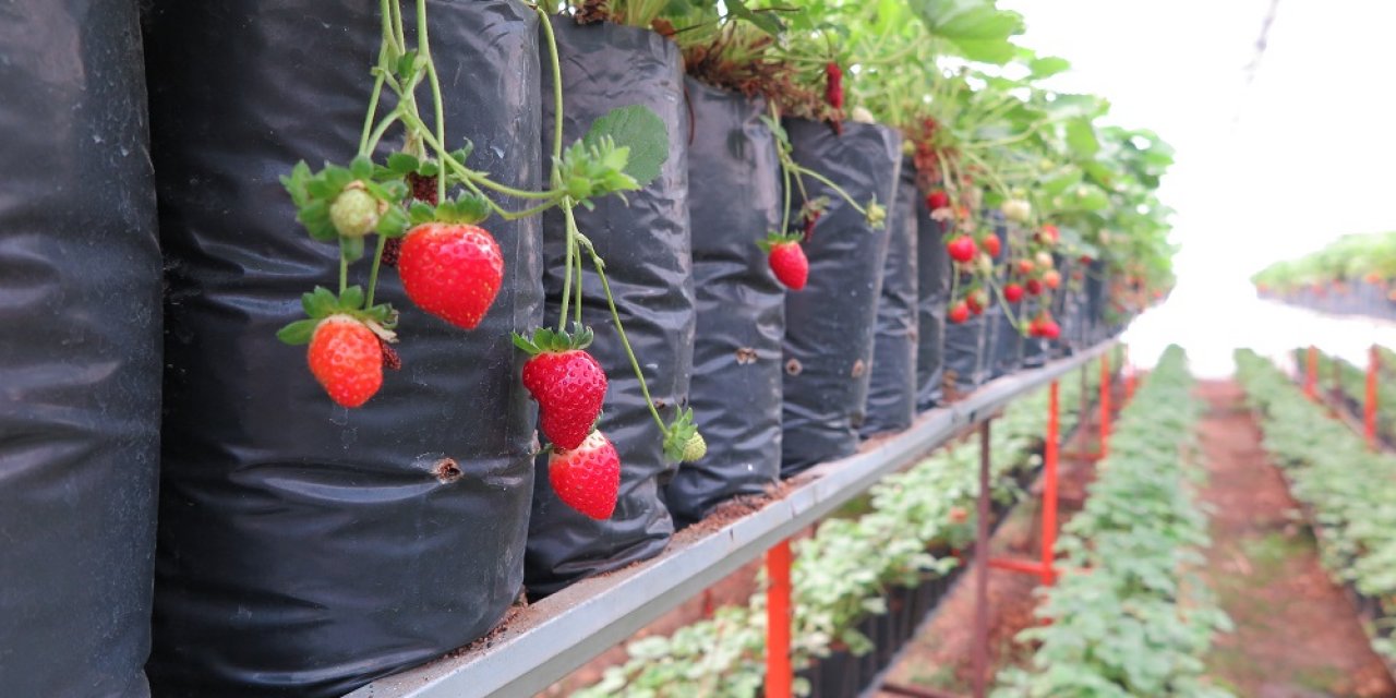 Rusya Kahramanmaraş’la anlaştı