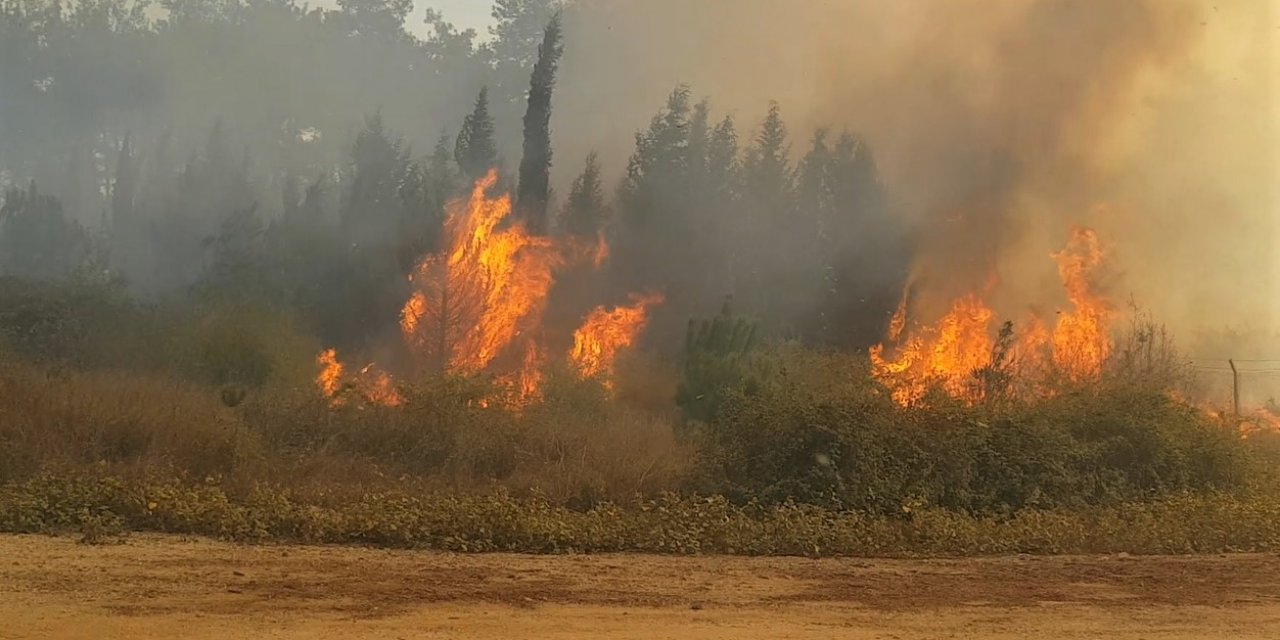 Kahramanmaraş ve Hatay’daki orman yangınlarına müdahale sürüyor