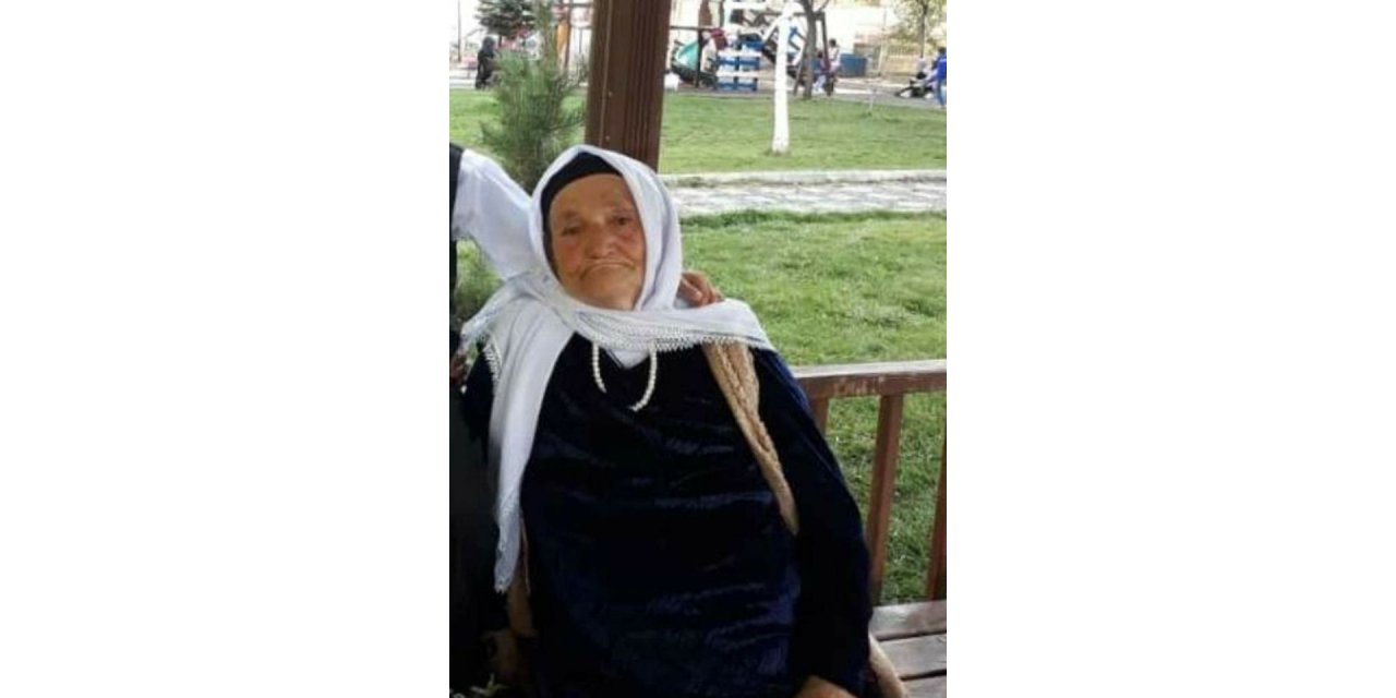 Yaşlı kadının katili bulundu