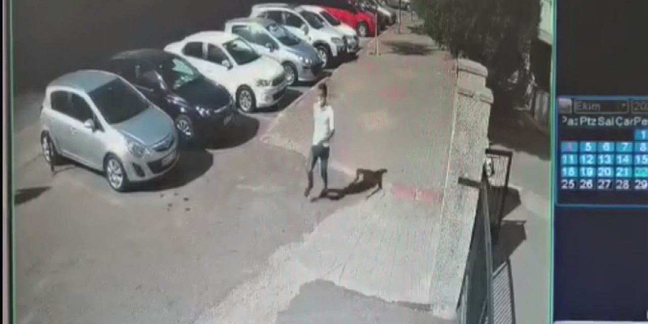 Kaptı kaçtı ama polisten kaçamadı