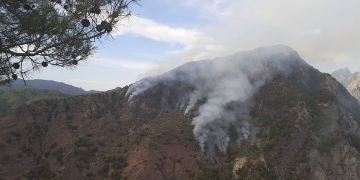 Kahramanmaraş’ta orman yangını