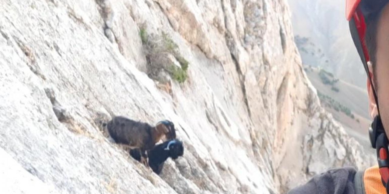 İtfaiye dağda mahsur kalan keçiler için seferber oldu