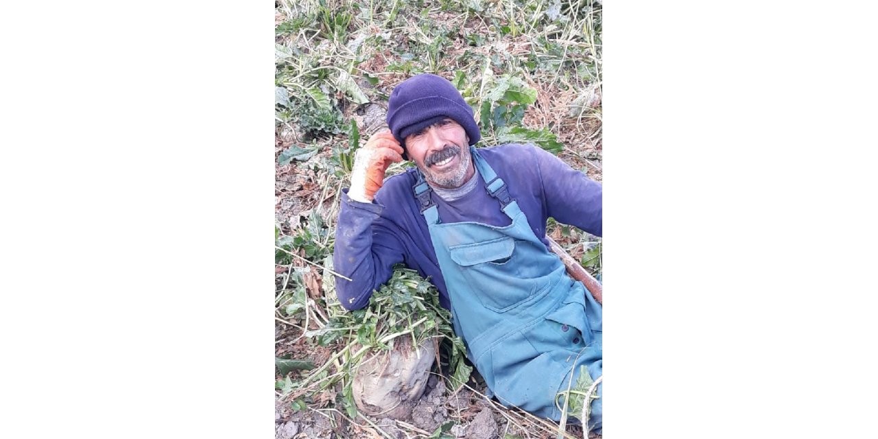 Tarlasında her biri 20 kilogram gelen şeker pancarı üretti