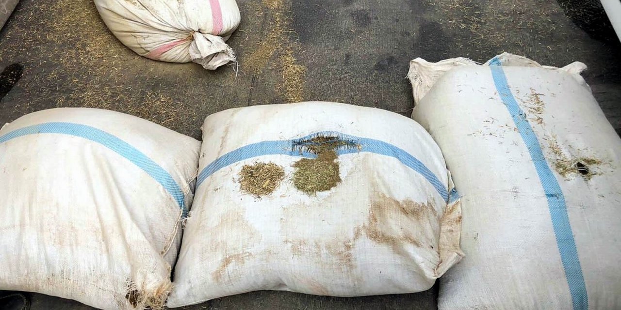 Yakalanmasaydı kimyon diye piyasaya süreceklerdi