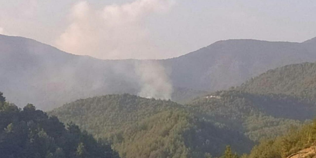 Hatay’da orman yangını