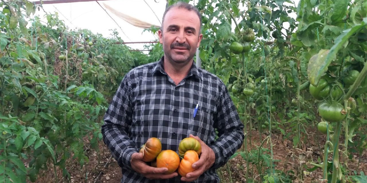 Deneme amaçlı başladılar ana gelir kaynakları oldu!