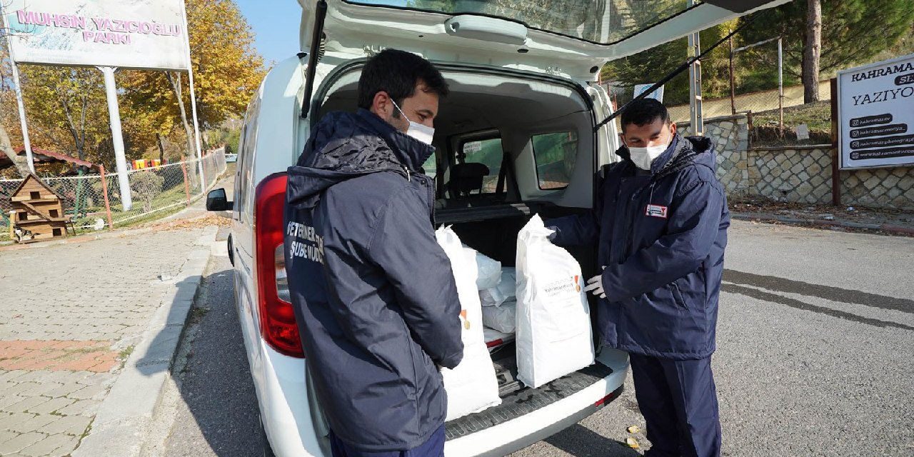 Kahramanmaraş’ta sokak hayvanları unutulmadı