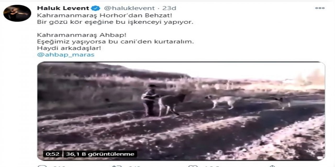 Ünlü Sanatçı işkence gören eşeğe duyarsız kalmadı