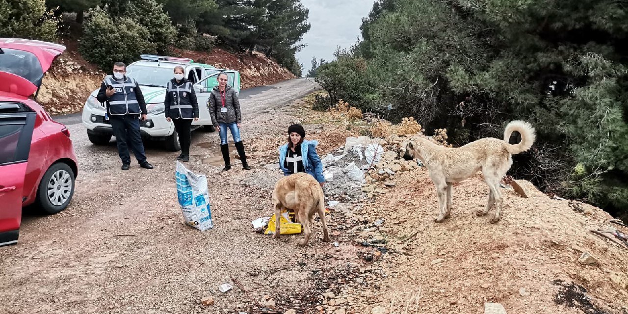 Polis ekipleri bu kez sokak hayvanları için görevde!