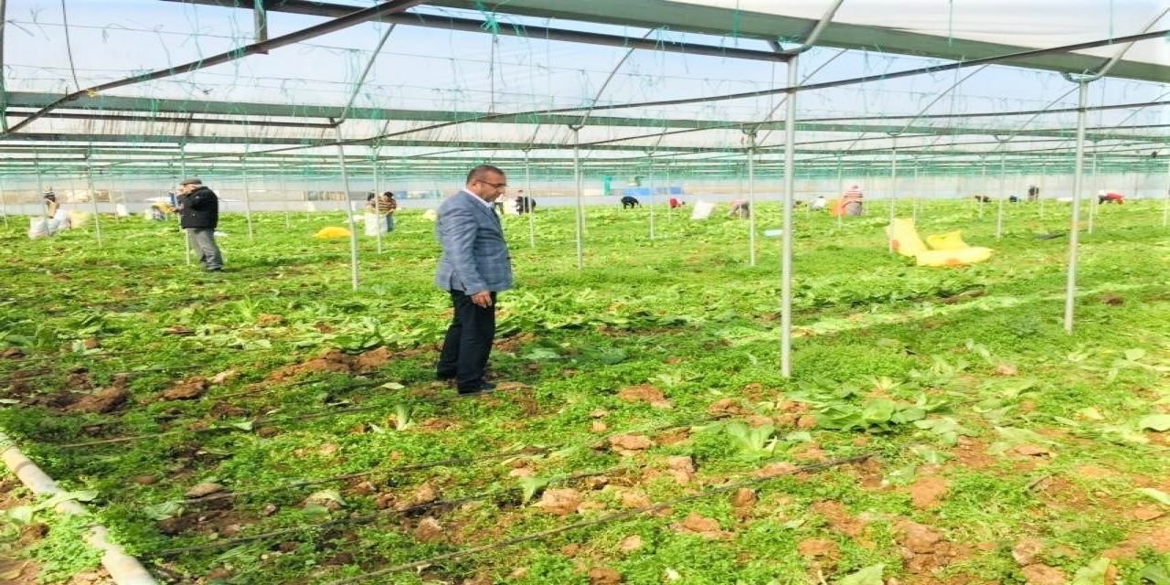 CHP’li Ünal Ateş, “Çiftçi olmazsa bu ülke batar”