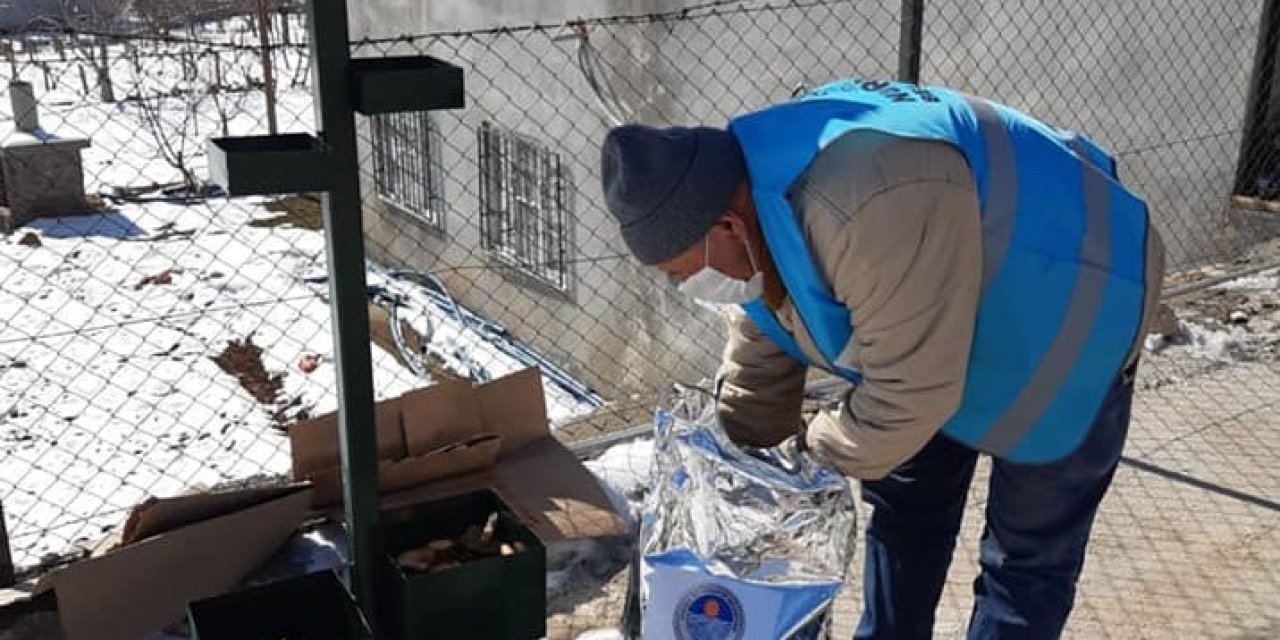Nurhak Belediyesi’nden ‘Bir kap su bir kap mama’ çağrısı