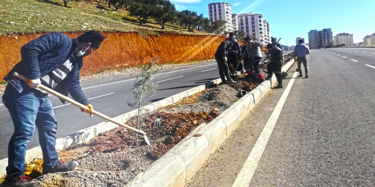 1100 Fidan toprakla buluşuyor