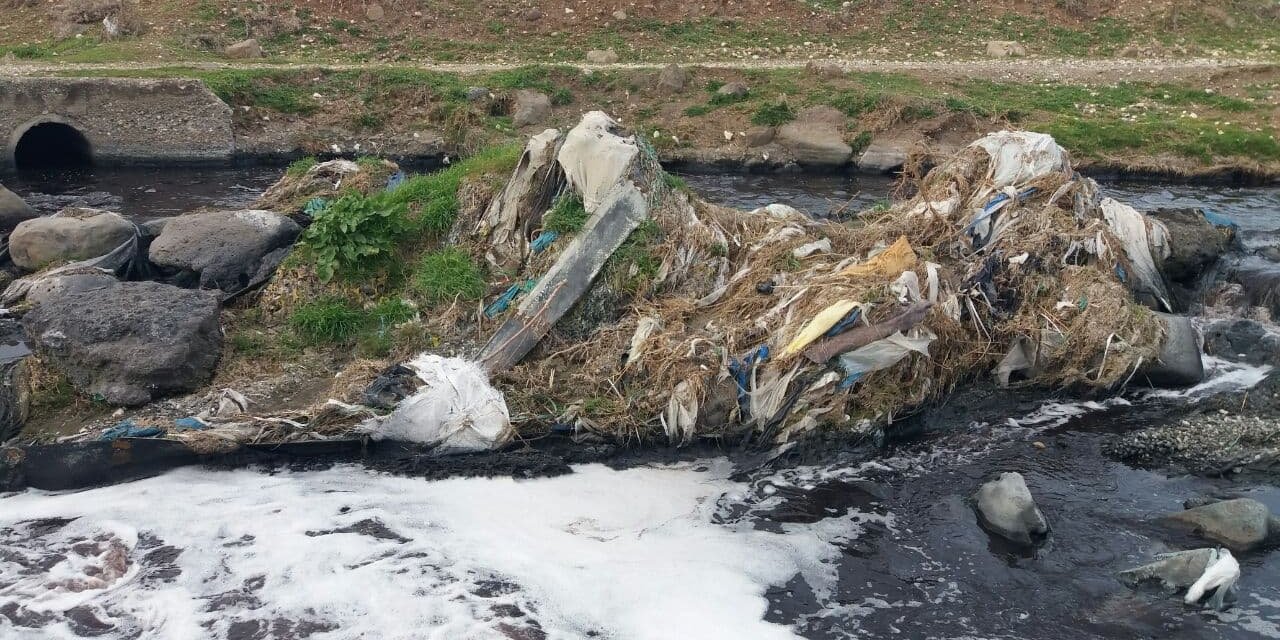 Çoban Ali, “Hayvanlar su içtiği zaman ölüyor”