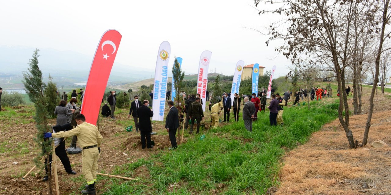 KSÜ’den fidan dikim etkinliği