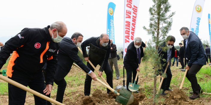 KSÜ’den fidan dikim etkinliği