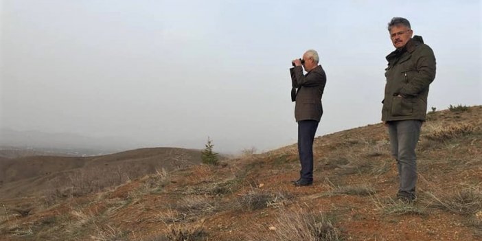Kahramanmaraş’ta geyikler fotokapanla görüntülendi