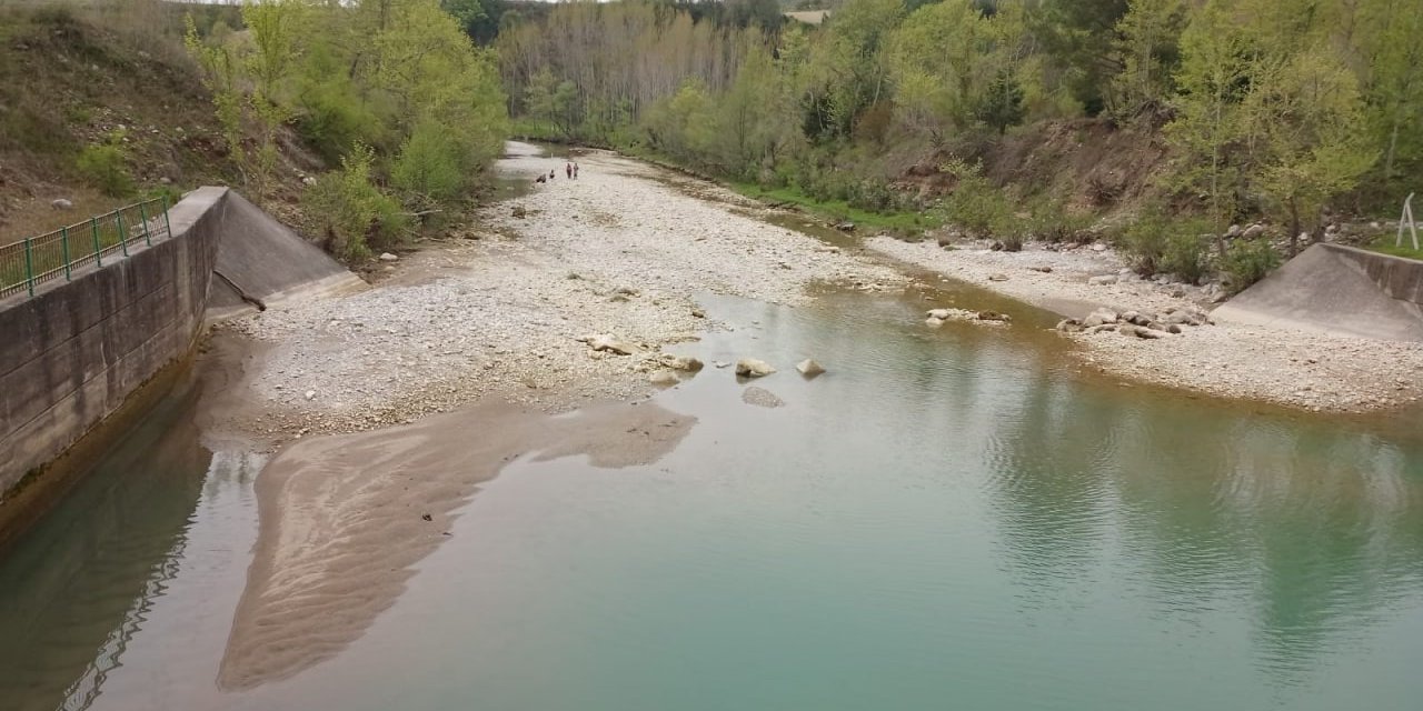 Kahramanmaraş’ta yüzlerce balık telef oldu