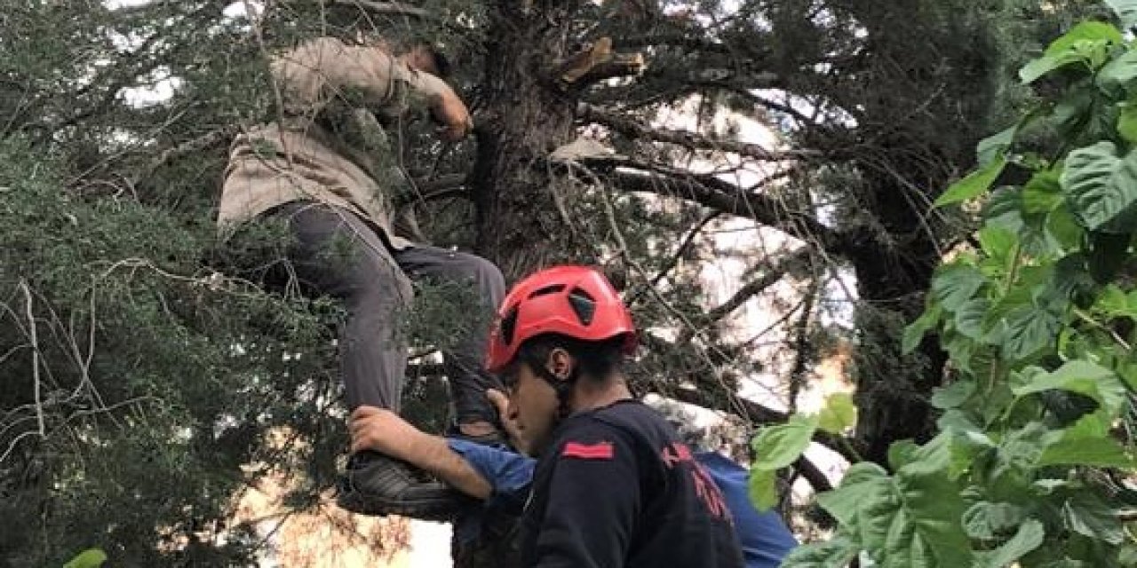 Budama yapmak için çıktığı ağaçta fenalaştı