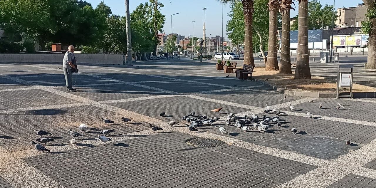 O Kahramanmaraş’ın güvercin dedesi