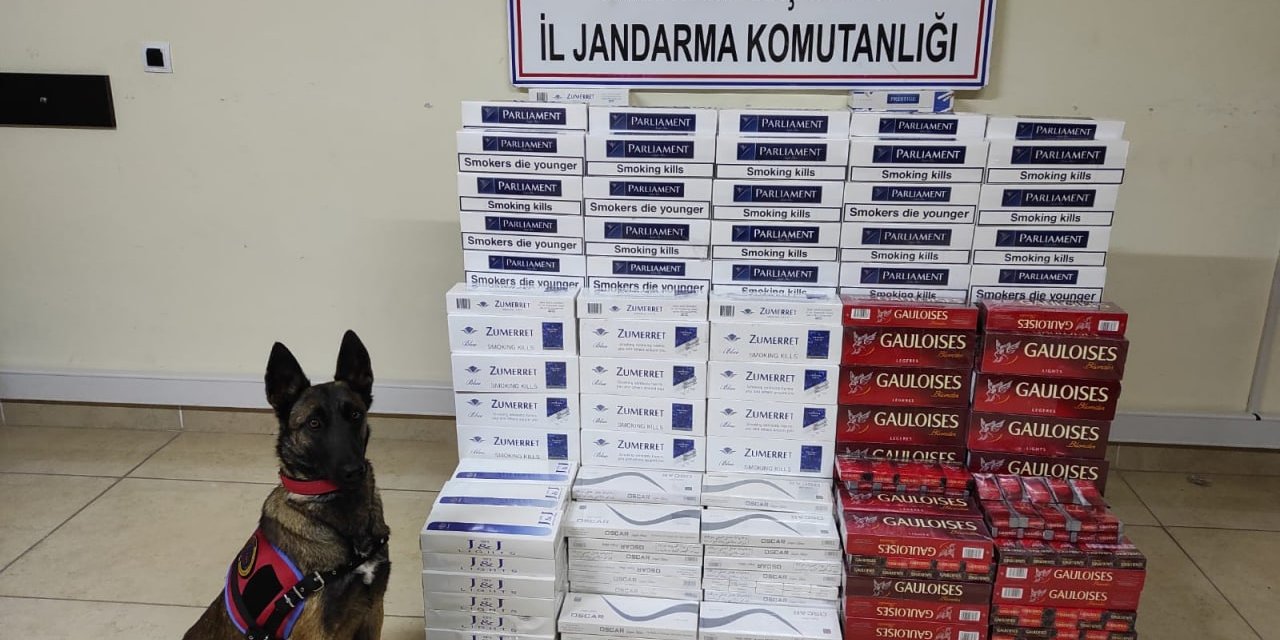 Kahramanmaraş’ta işyerinin tuvaletinde kaçak sigara ele geçirildi