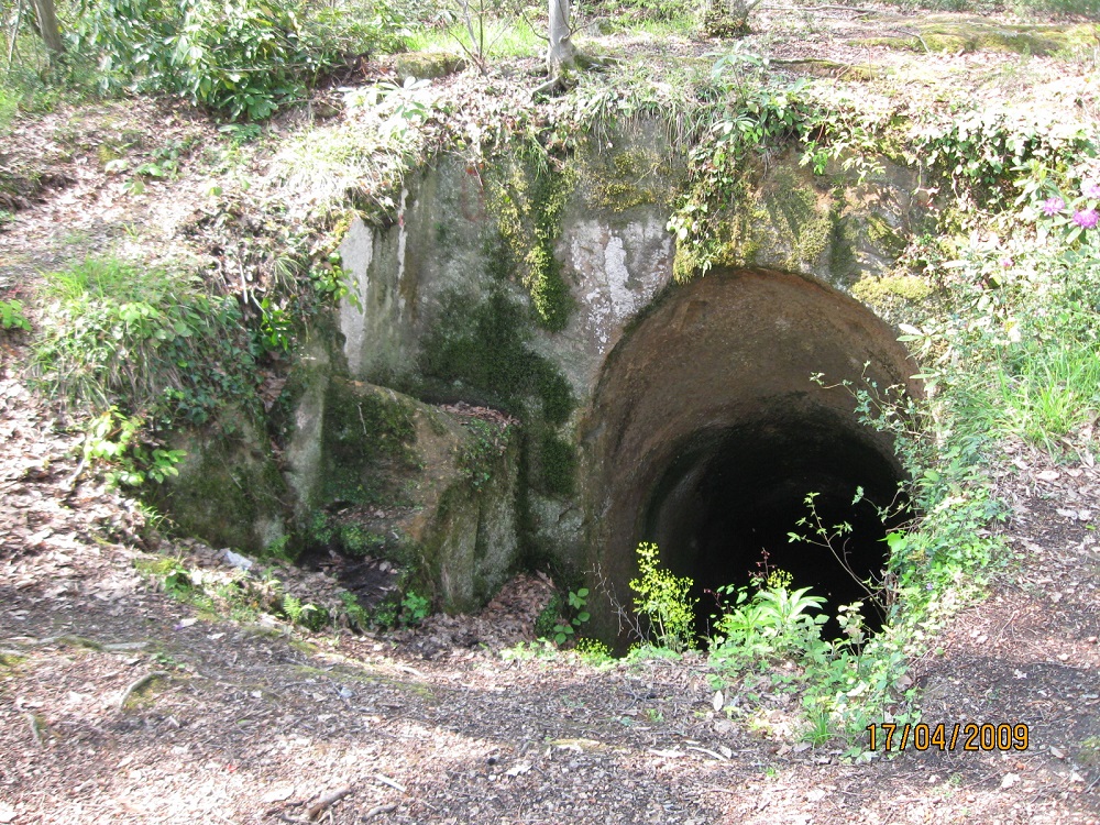 118694cingirtkayasi-2-001.png