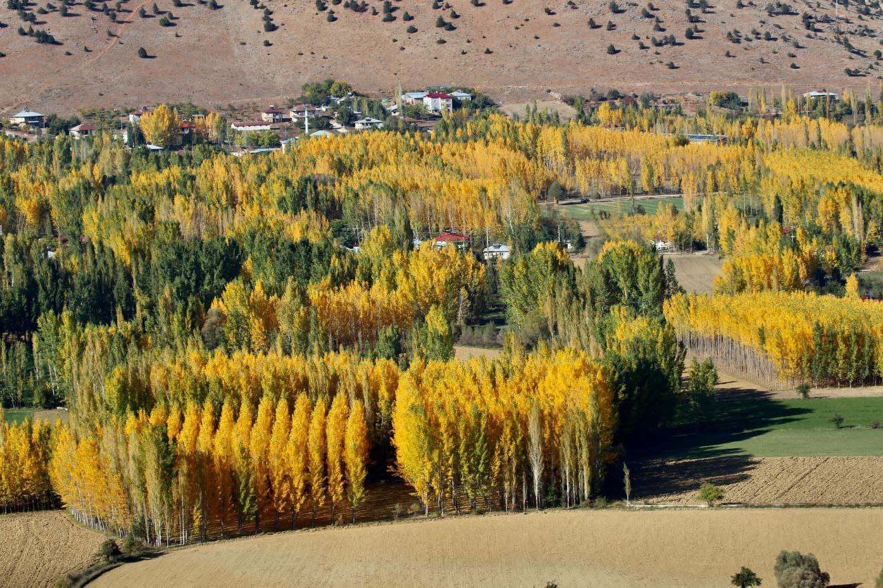 Göksun ve andırın’da doğa, sonbaharın büyüsüne kapıldı... 3 Photo-2025-10-24-13-47-17. Jpg